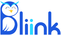 Nairi Baghdasaryan | CEO at Bliink.ai