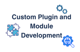 Custom Plugin and Module Development Custom Plugin and Module Development
